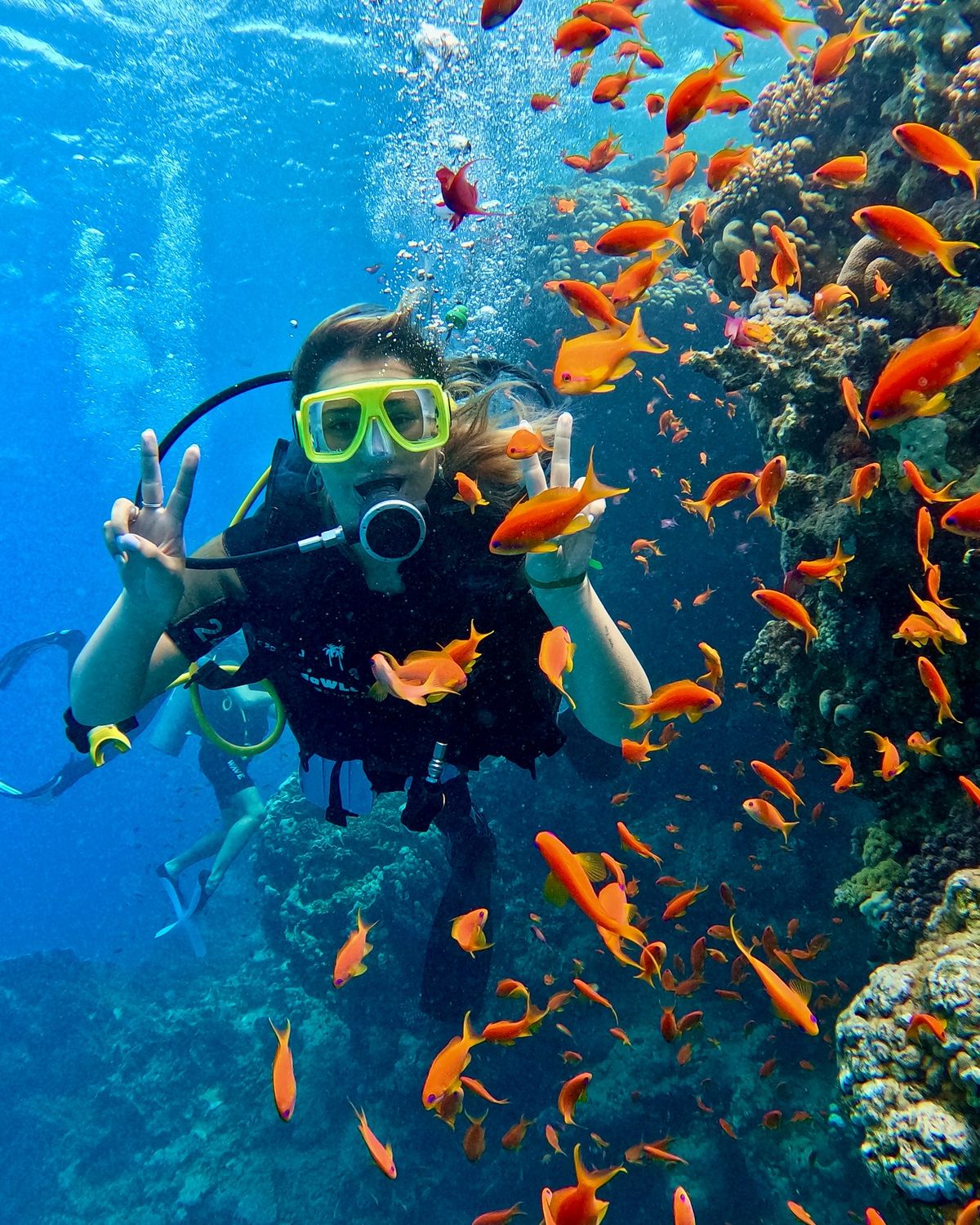 scuba diving in goa
