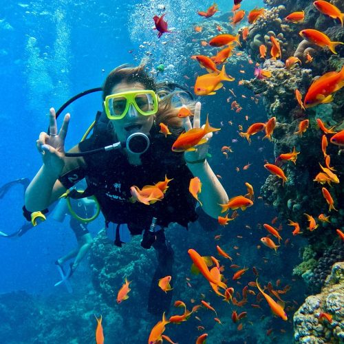 scuba diving in goa