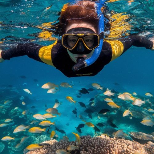 scuba diving in goa