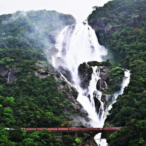 dudhsagar waterfall in goa